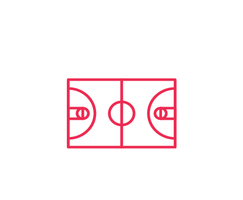 Multipurpose Play Court